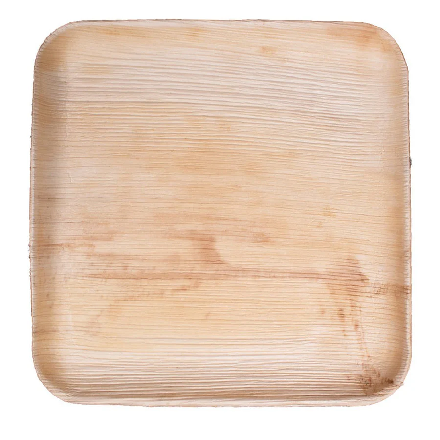 VerTerra Square 5 Compartment Plate 9