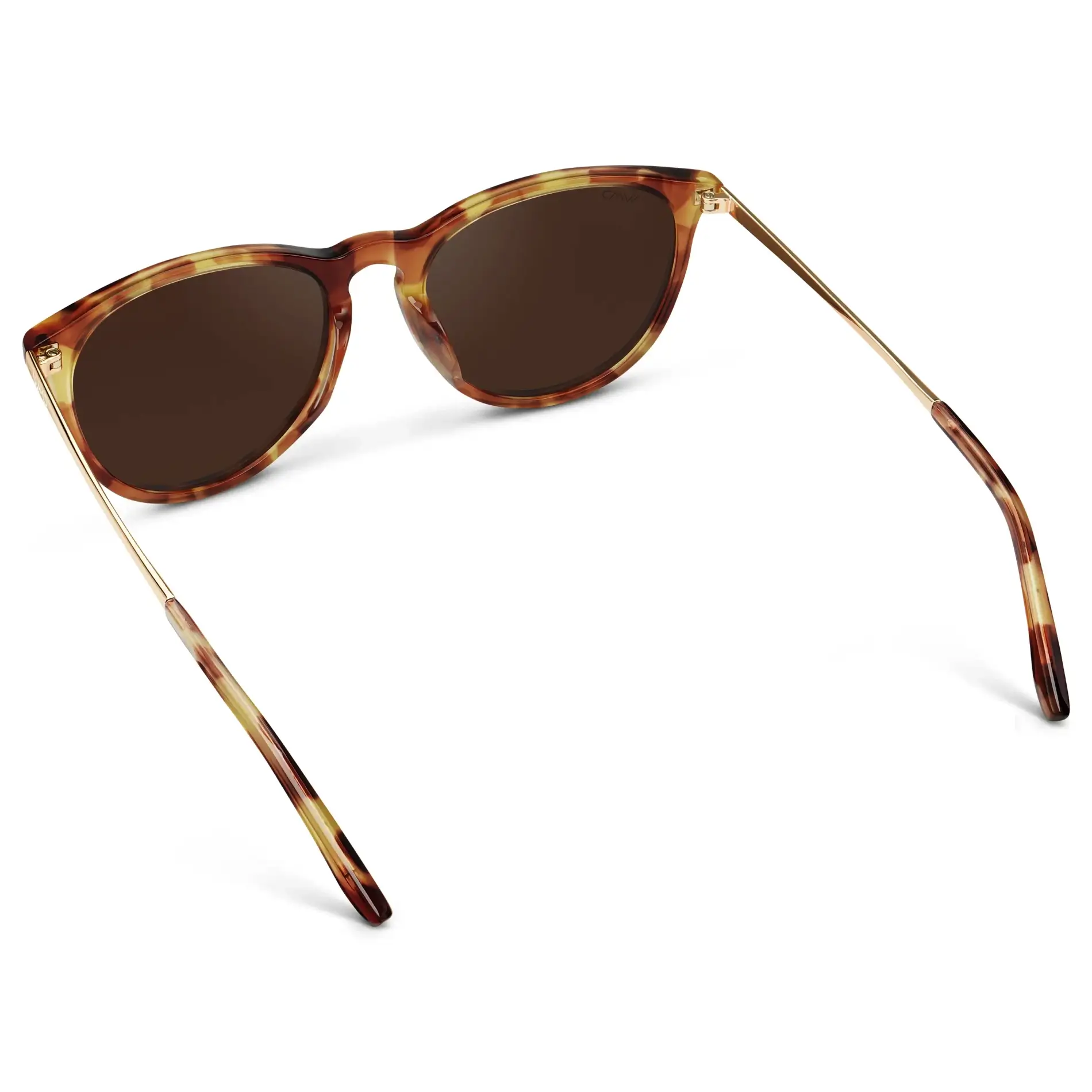Drew | Polarized