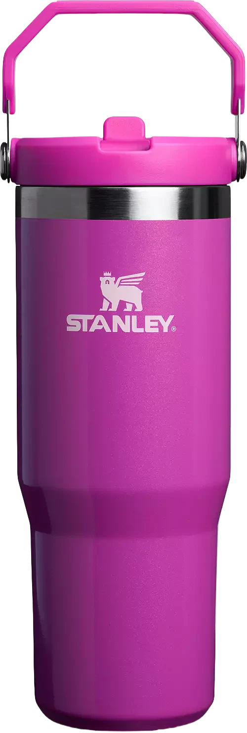 Stanley 30 Oz. IceFlow Flip Straw Tumbler - Winter Wonderland Collection