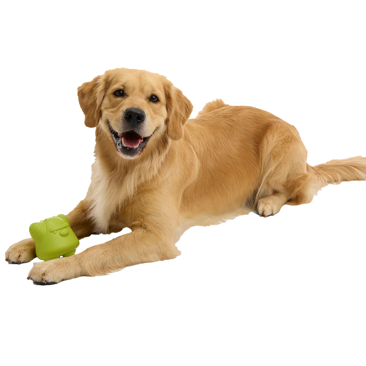 Goblin Booty Super Chewer Durable Gnaw Dog Toy