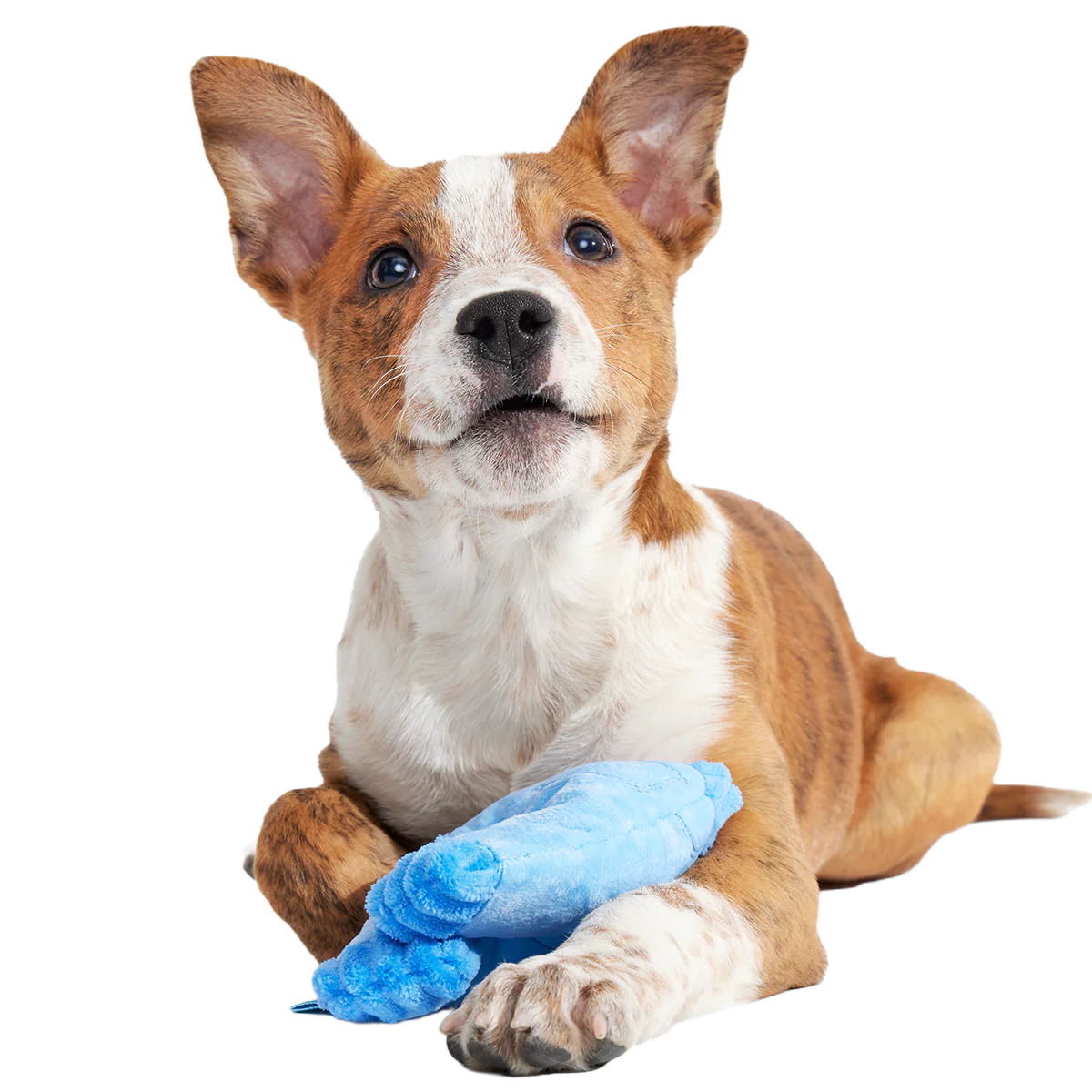 Squeaky Clean Mom Jeans Plush Tug Dog Toy