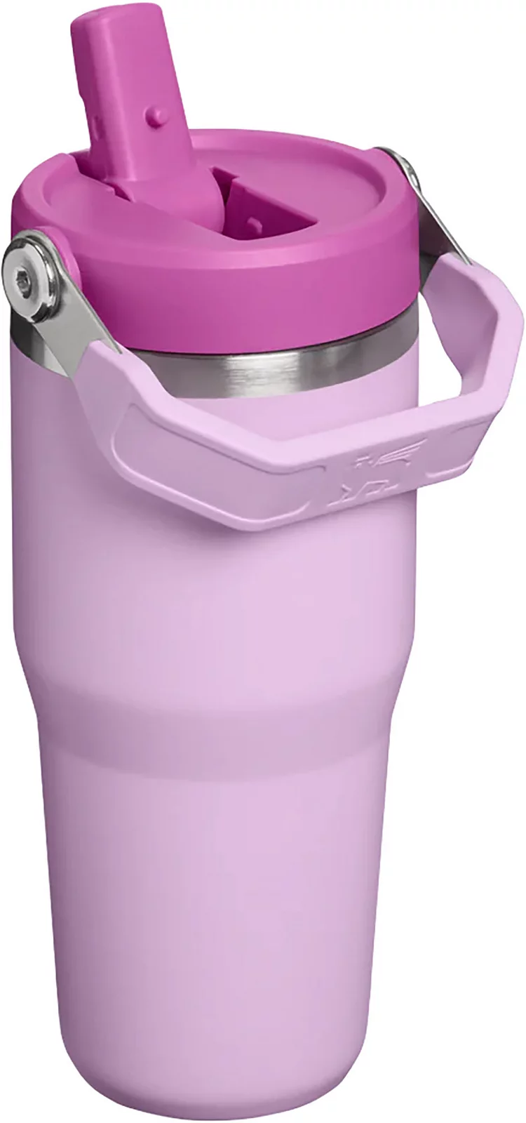 Stanley 20 oz. IceFlow 2.0 Flip Straw Tumbler - Soft Orchid