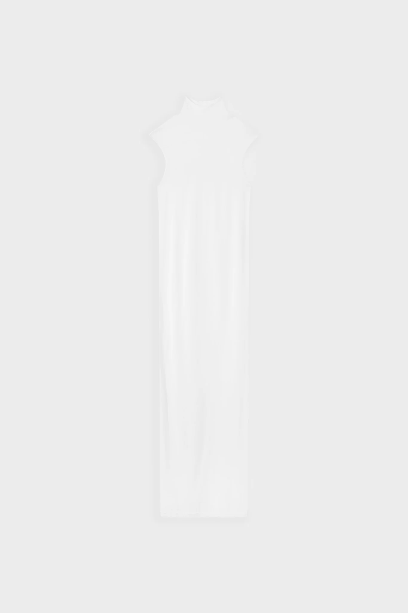 Sheer High Neck Maxi Dress