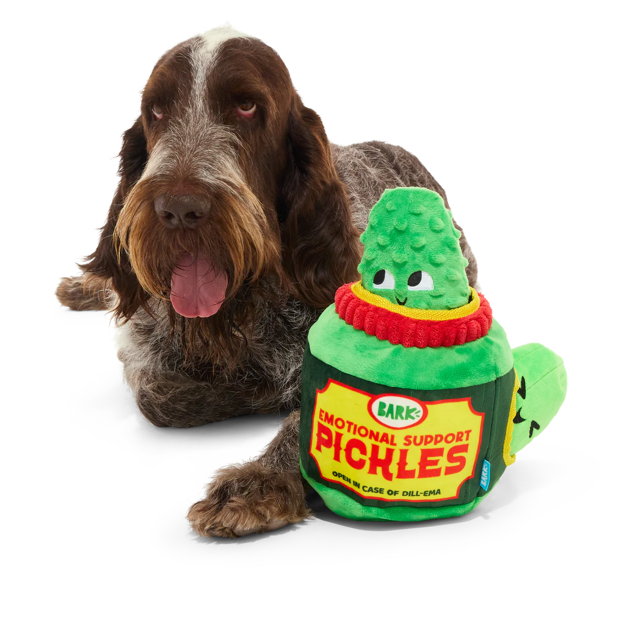 Dill-Emma Squad Pickle Plush Multi-Part + Extra-Large Dog Toy