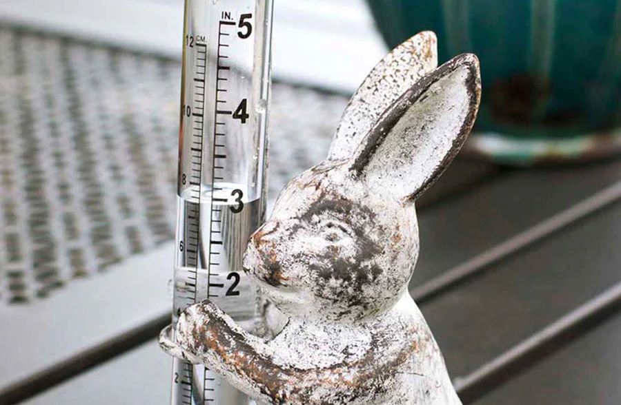 Little Garden Creatures Rain Gauge, Pick Your Style