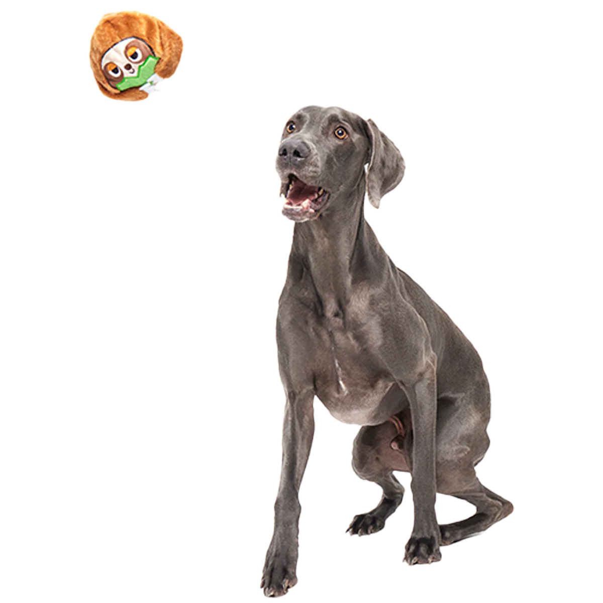 Sonny the Sloth Super Chewer Durable 2-in-1 + Fetch Dog Toy