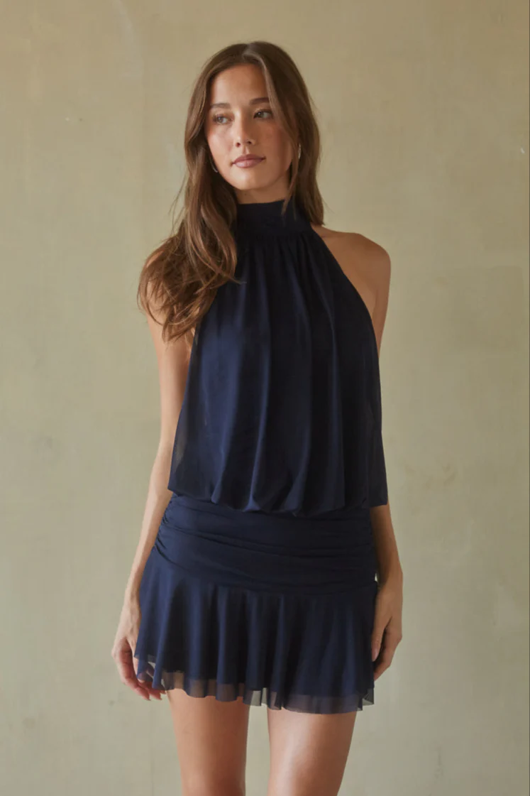 Journi High Neck Mesh Mini Dress - luluinthesky