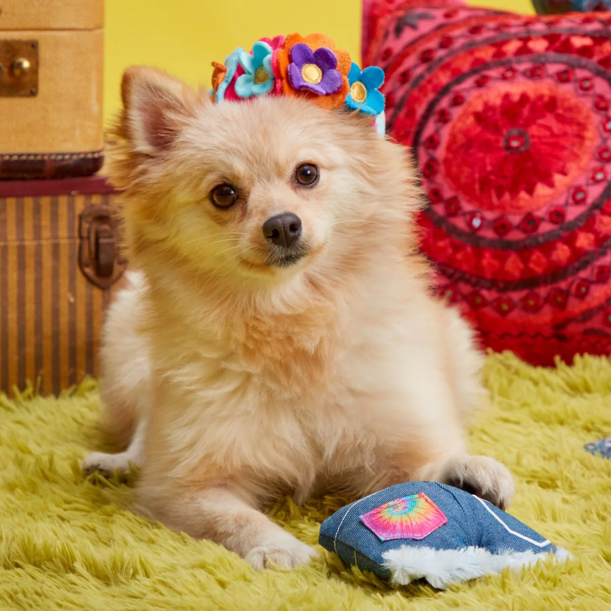 Grrroovy Threads Plush Tug + Multi-Part + Wearable Dog Toy