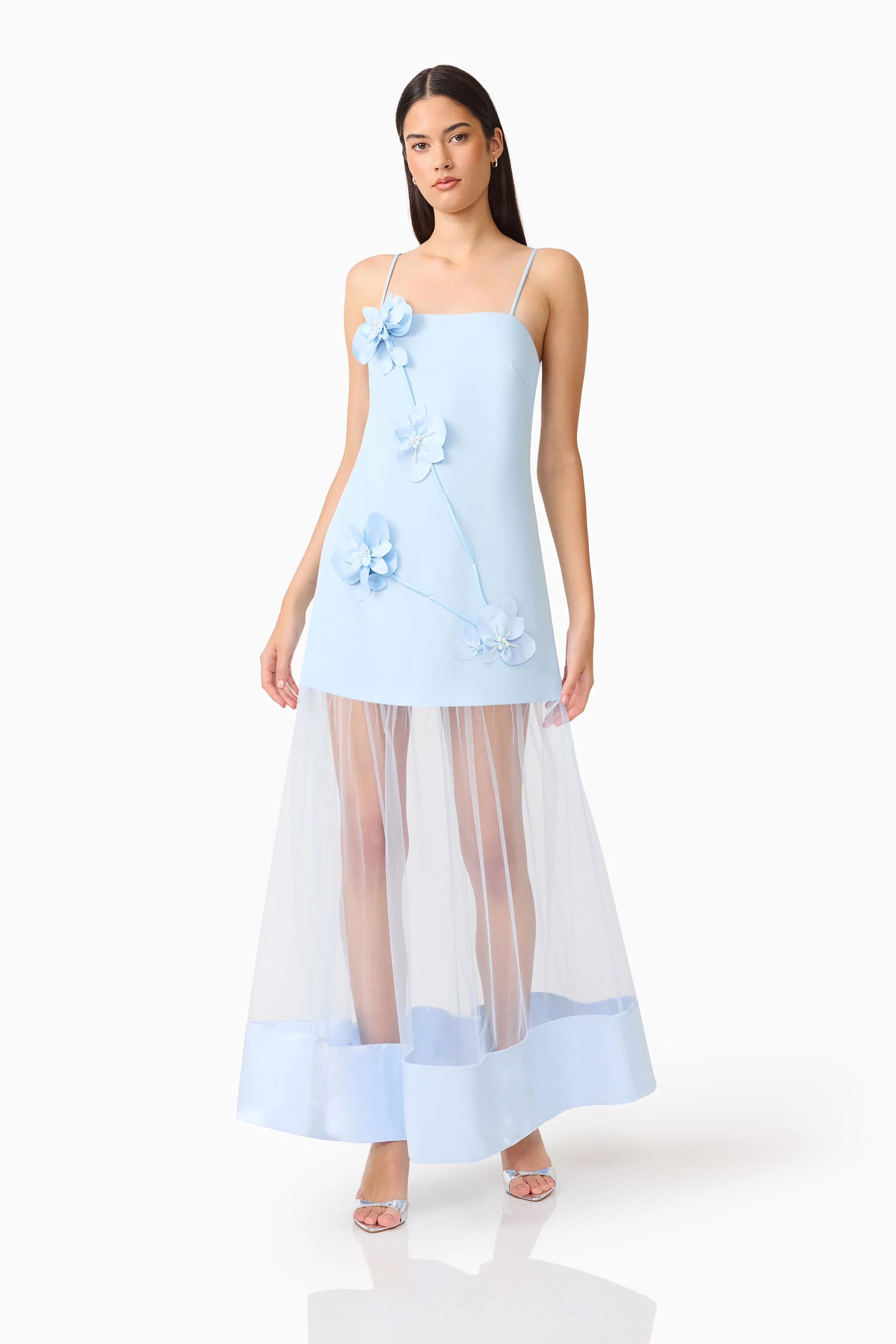 Reina Applique Gown in Sky Blue