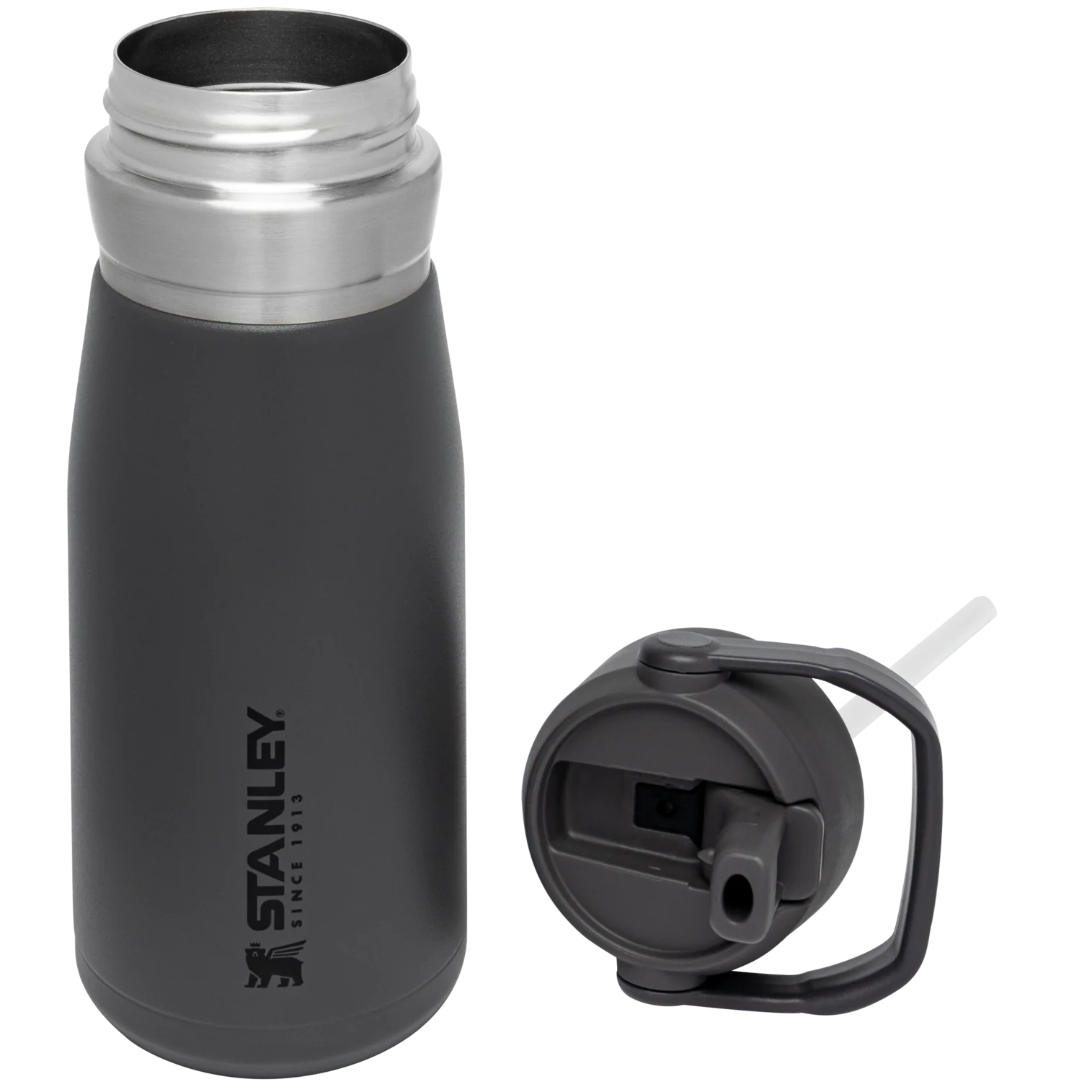 Go Flip Straw Water Bottle