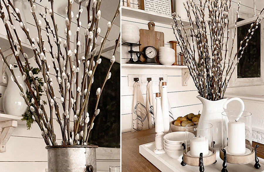 Live Pussy Willow Stem Bundle