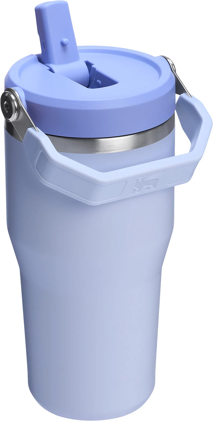 Stanley 20 oz. IceFlow 2.0 Flip Straw Tumbler - Dew Drop