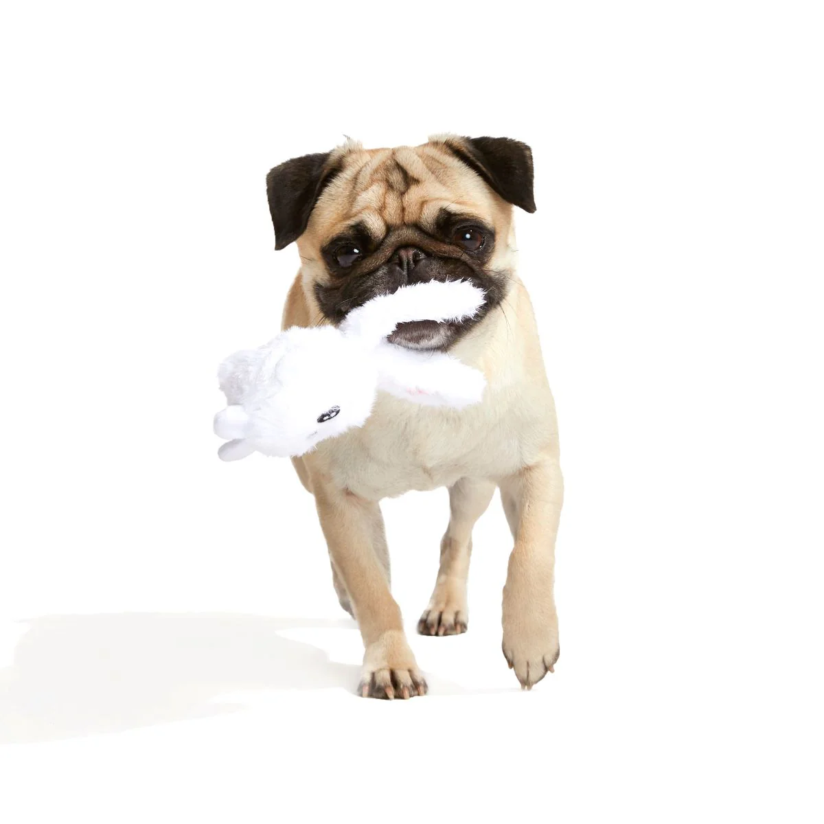 Esther Bunny Plush 2-In-1 Rip And Reveal Dog Toy