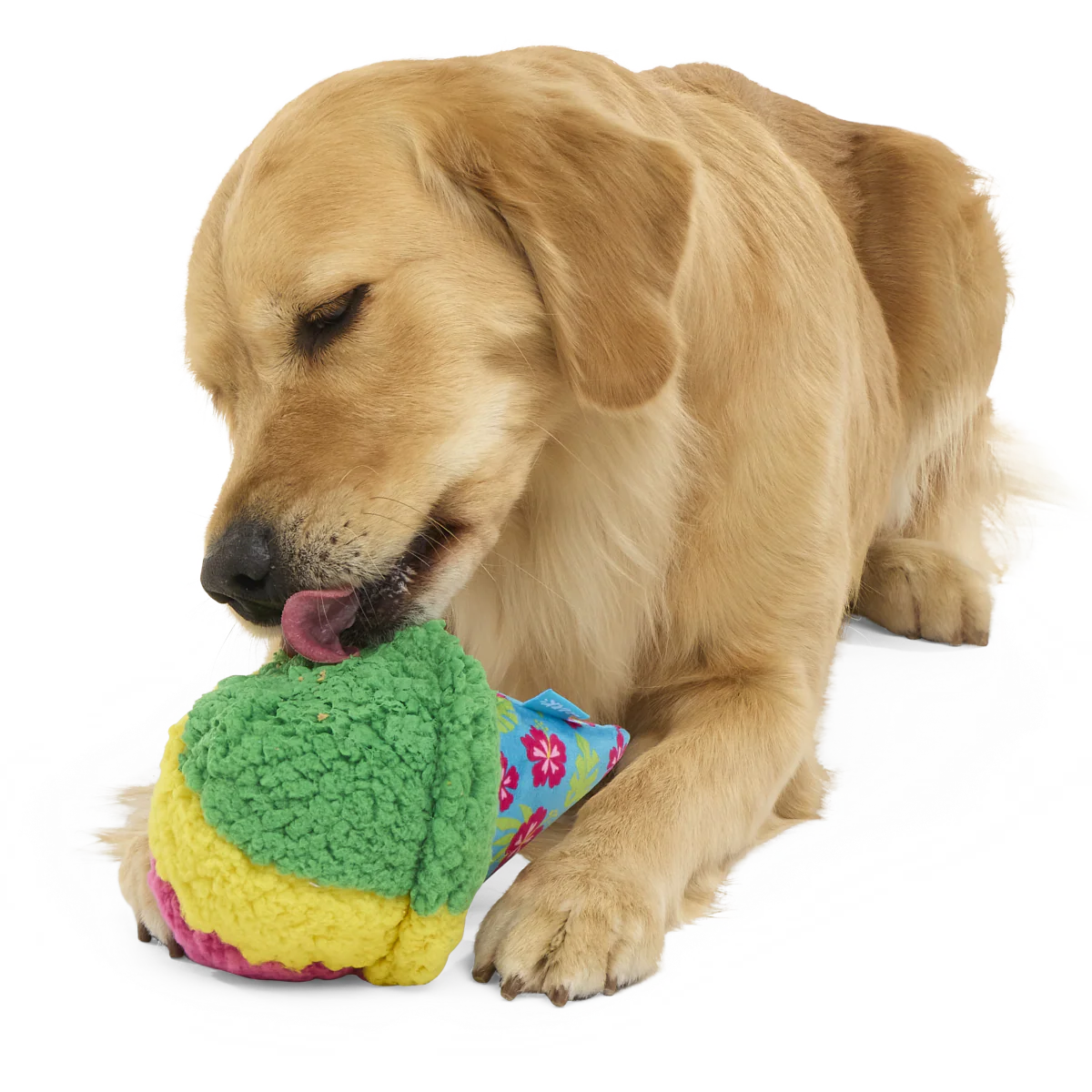 A-Sno-Ha Cone Plush Fetch Dog Toy