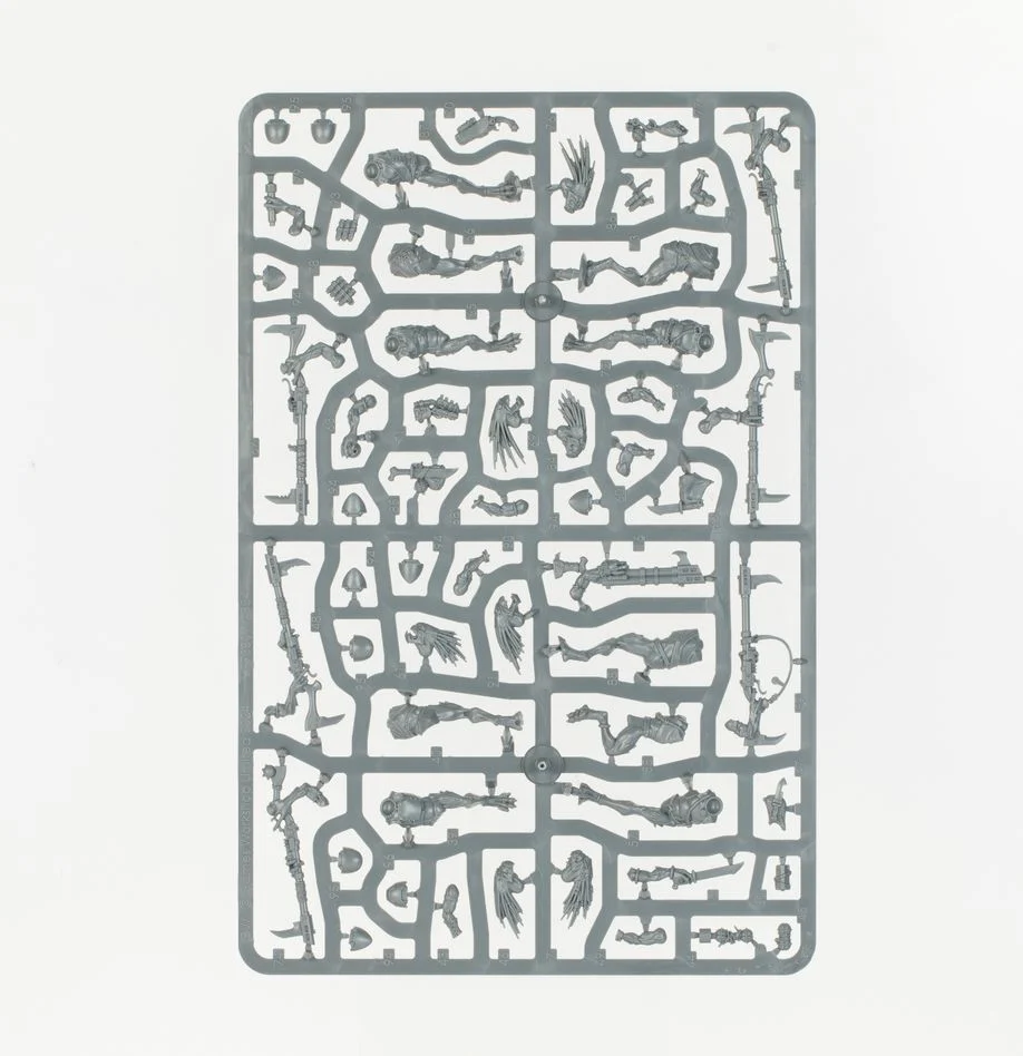 Warhammer 40,000 T'au Empire Army Set: Kroot Hunting Pack