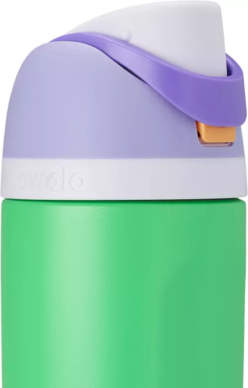 Owala Kids' 16 oz. FreeSip Stainless Steel Water Bottle