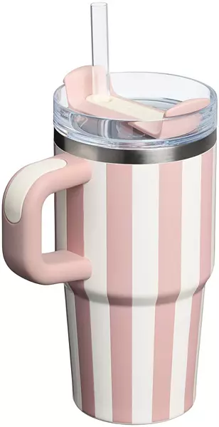 Stanley 20 Oz. Quencher H2.0 Flowstate Tumbler - Oasis Collection