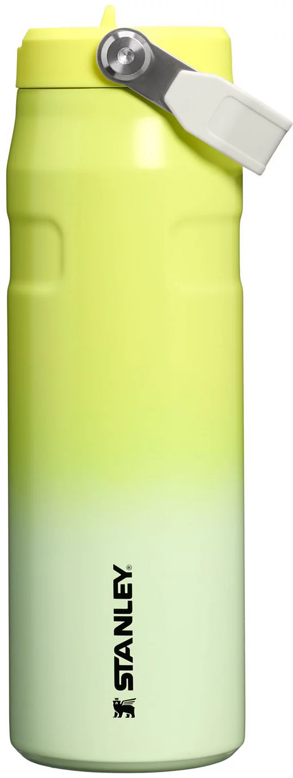 Stanley 24 oz. IceFlow Bottle with Flip Straw Lid - Atomic Gradient