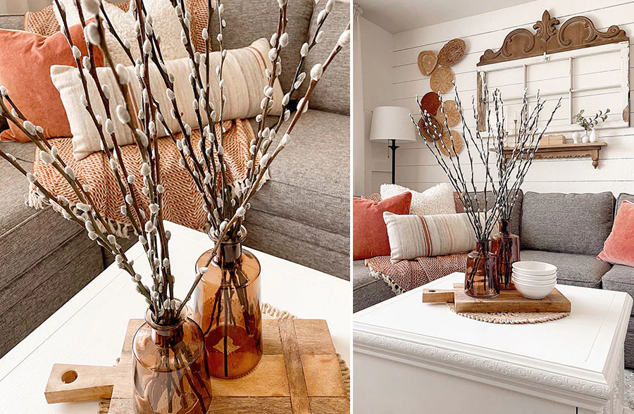 Live Pussy Willow Stem Bundle