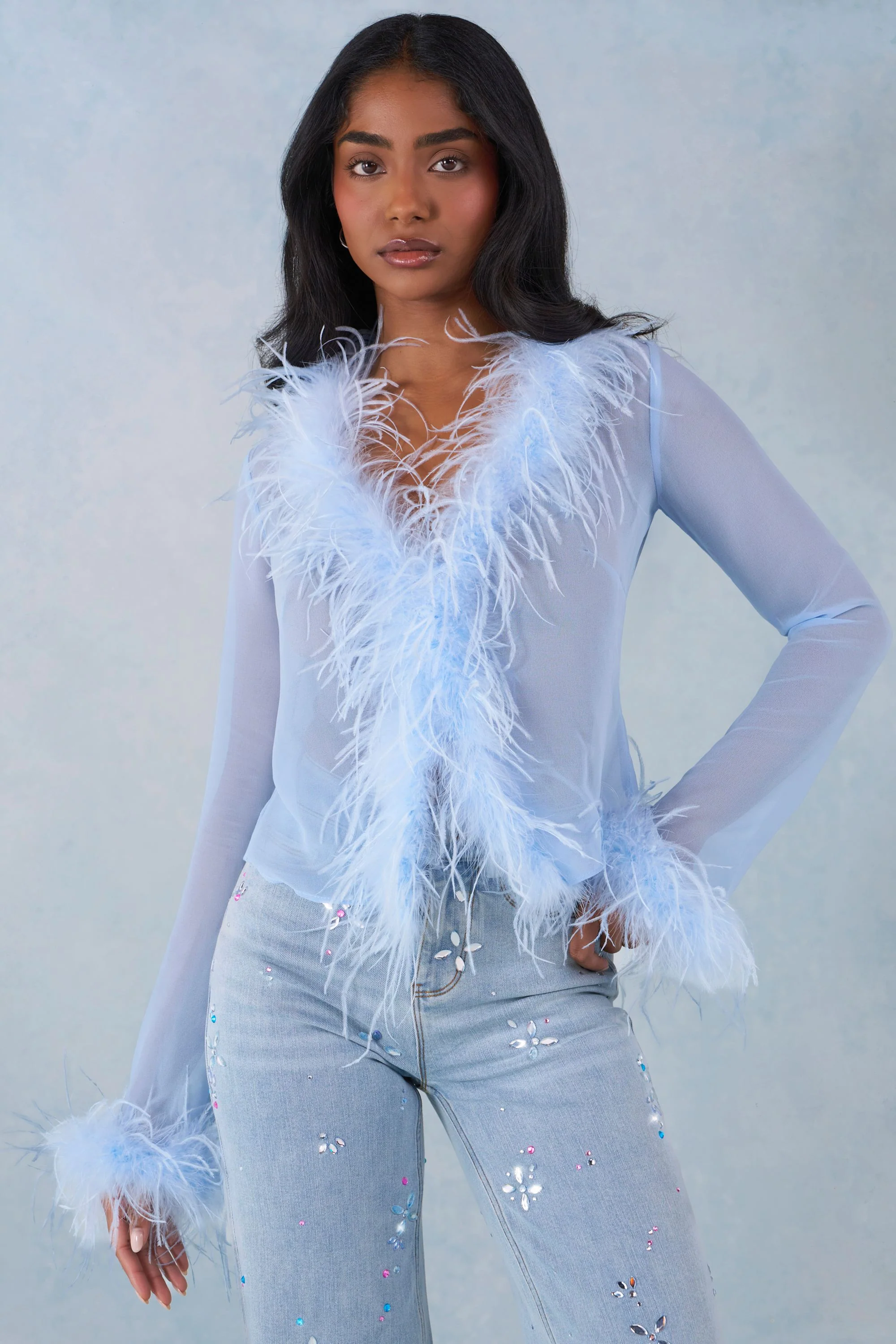 Faux Fur-Trim Sheer Top in Soft Blue