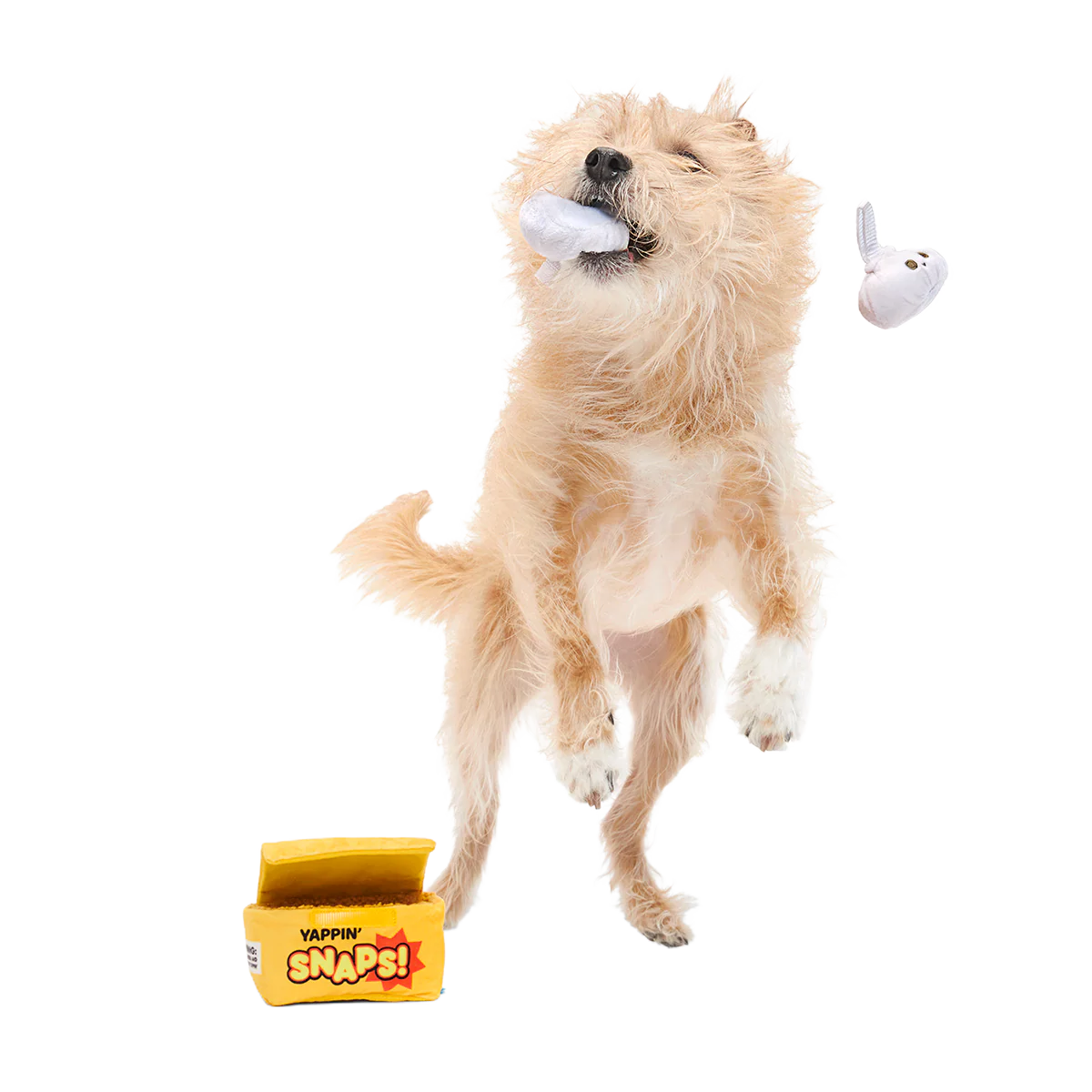 Yappy Snaps Plush Multi-Part Tug Dog Toy