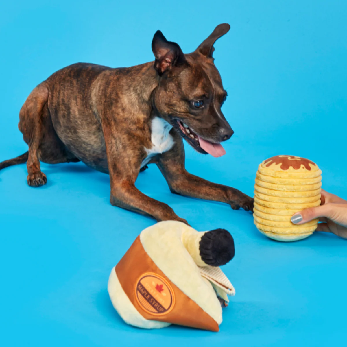 Sticky Paws Maple Syrup Plush 2-in-1 Rip and Reveal Dog Toy