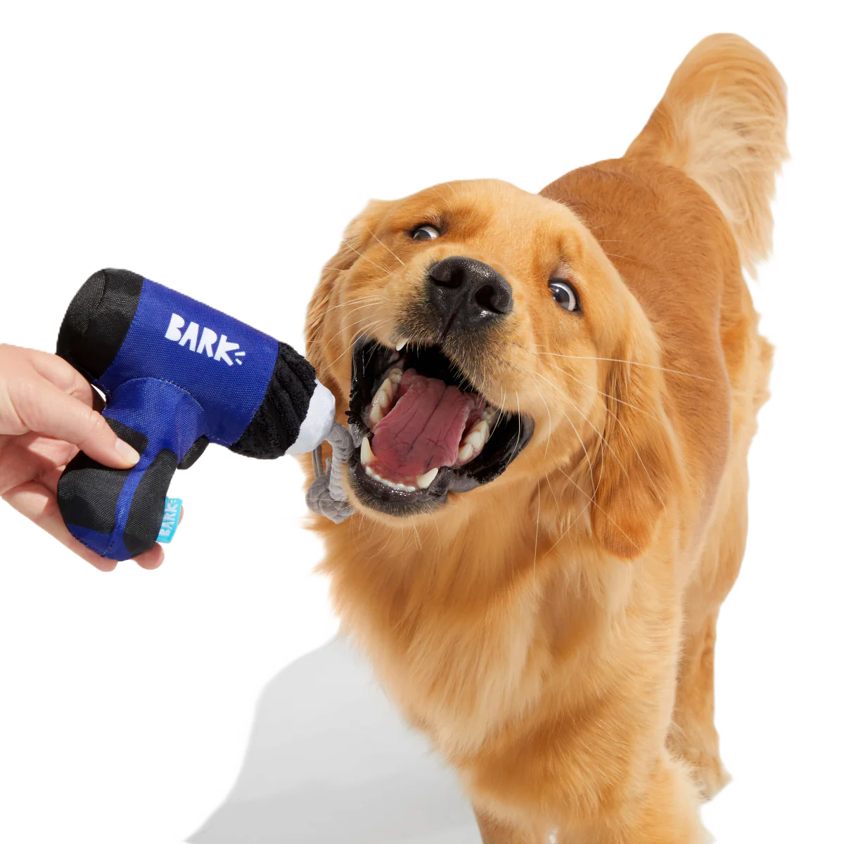 Tuggin’ Impact Drooler Plush Tug Dog Toy
