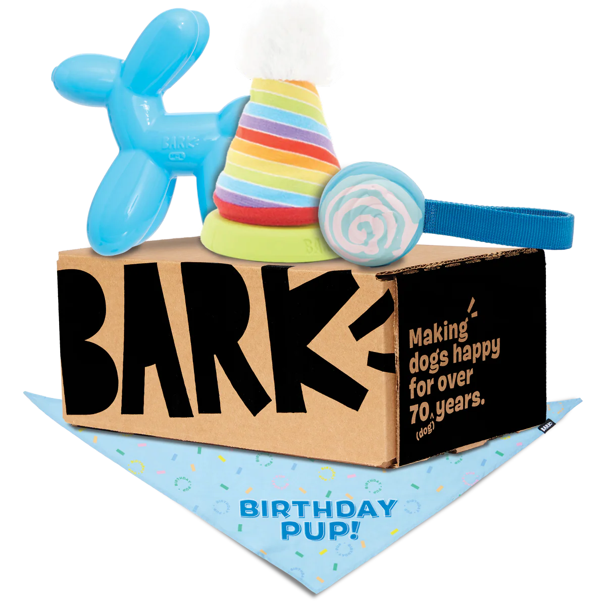 Birthday Super Chewer Box (Toy-Only) - One Month Gift Box