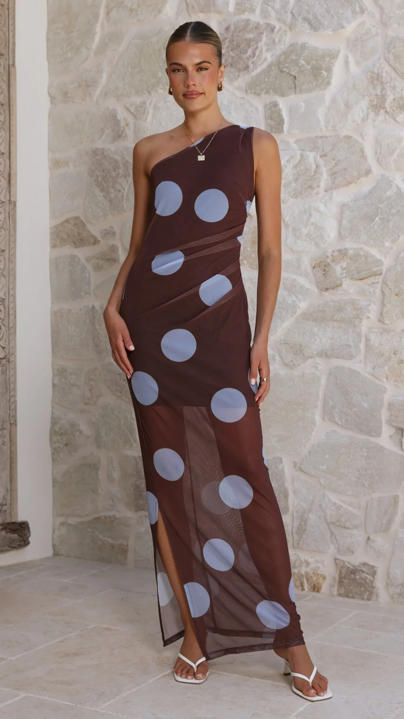Cataleya Mesh Maxi Dress - Brown / Blue Polka Dot