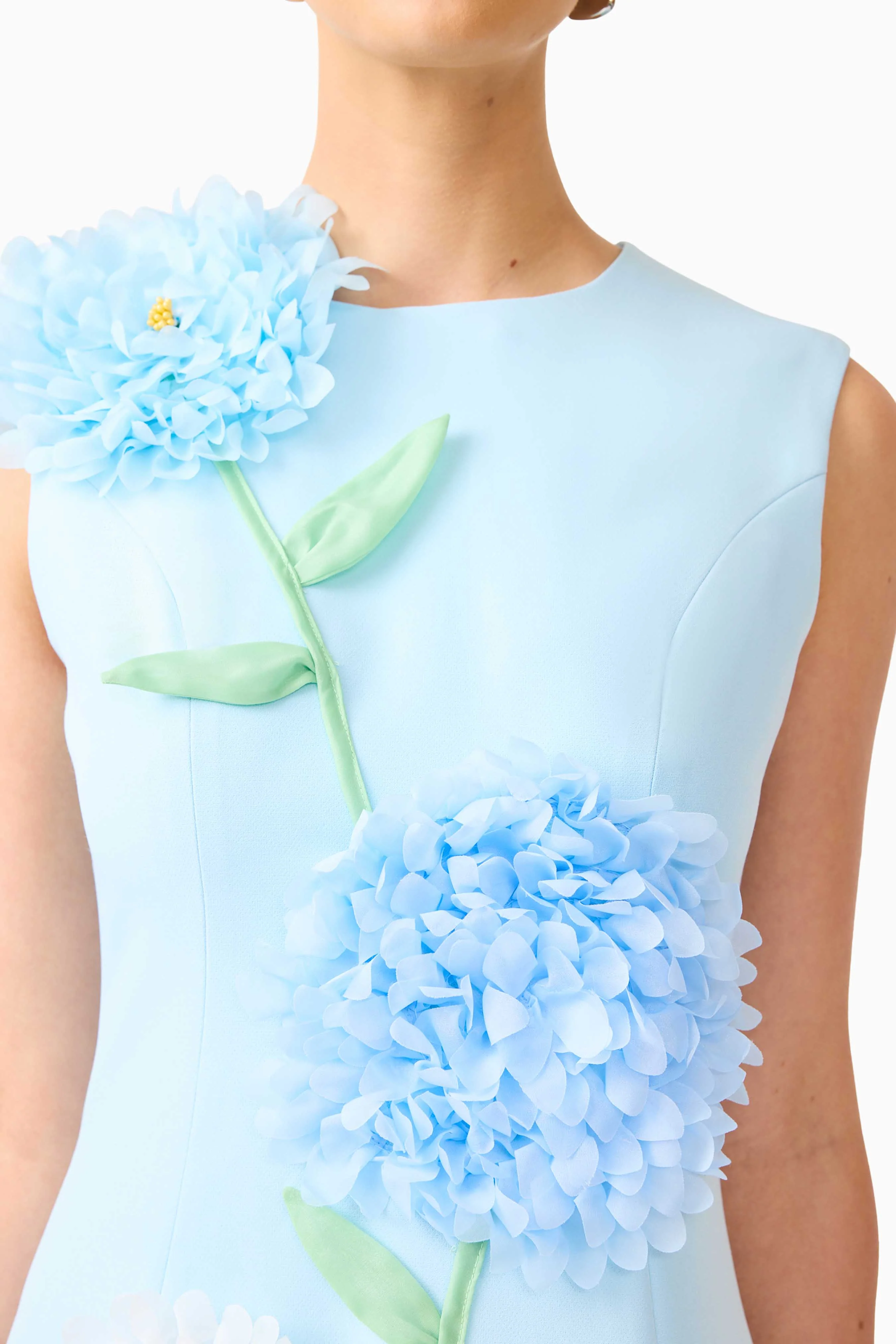 Buttercup Embroidered Mini Dress in Blue