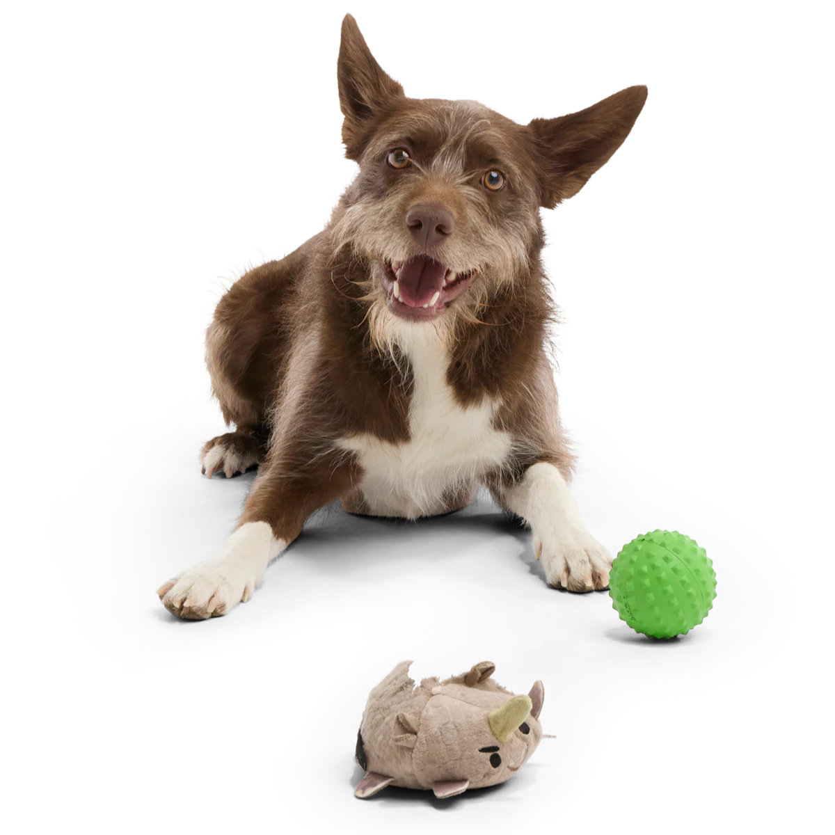 Ryan Ocerus Durable Super Chewer 2-in-1 Rip and Reveal + Fetch Dog Toy