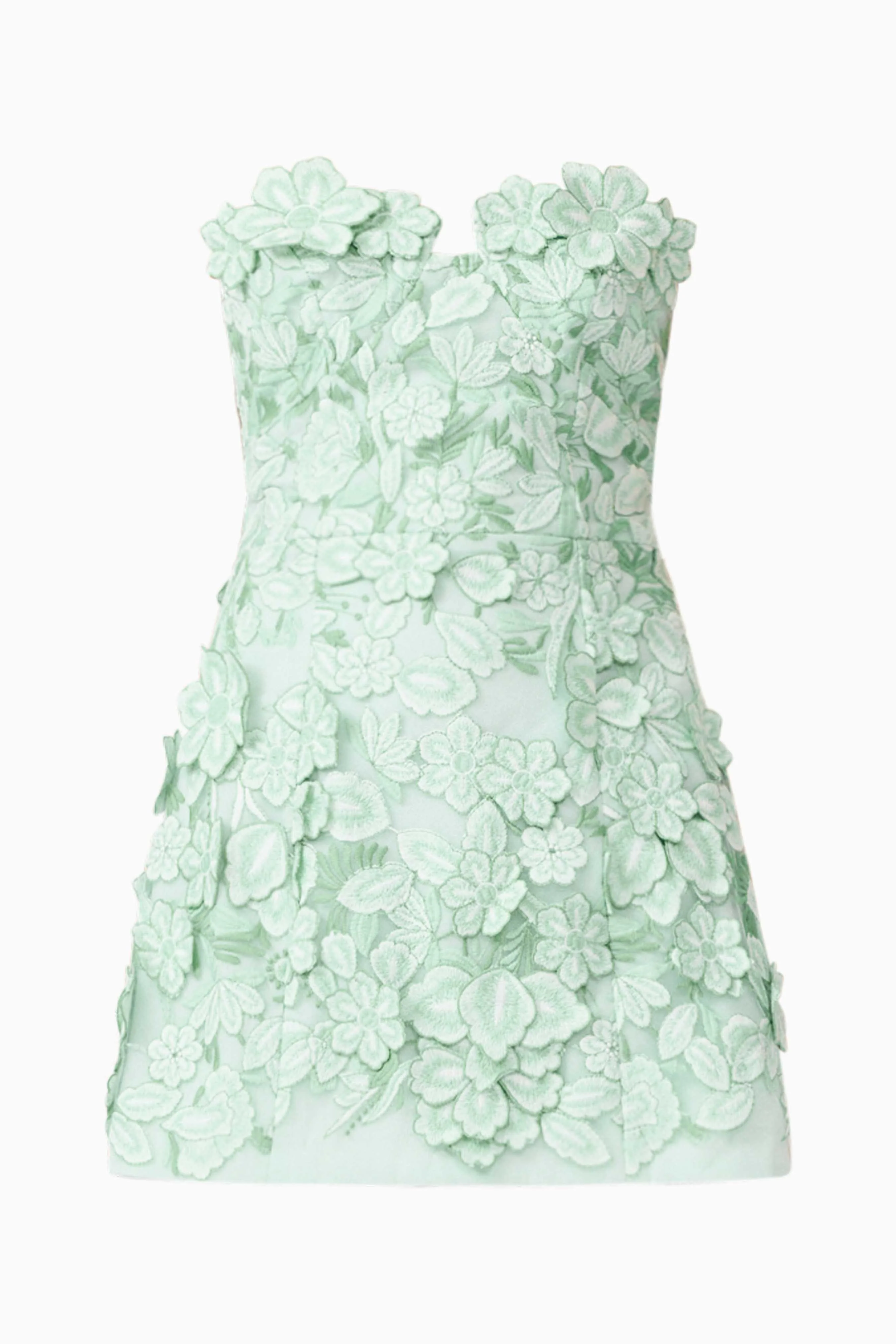 Roseate Strapless Maxi Dress in Mint Green