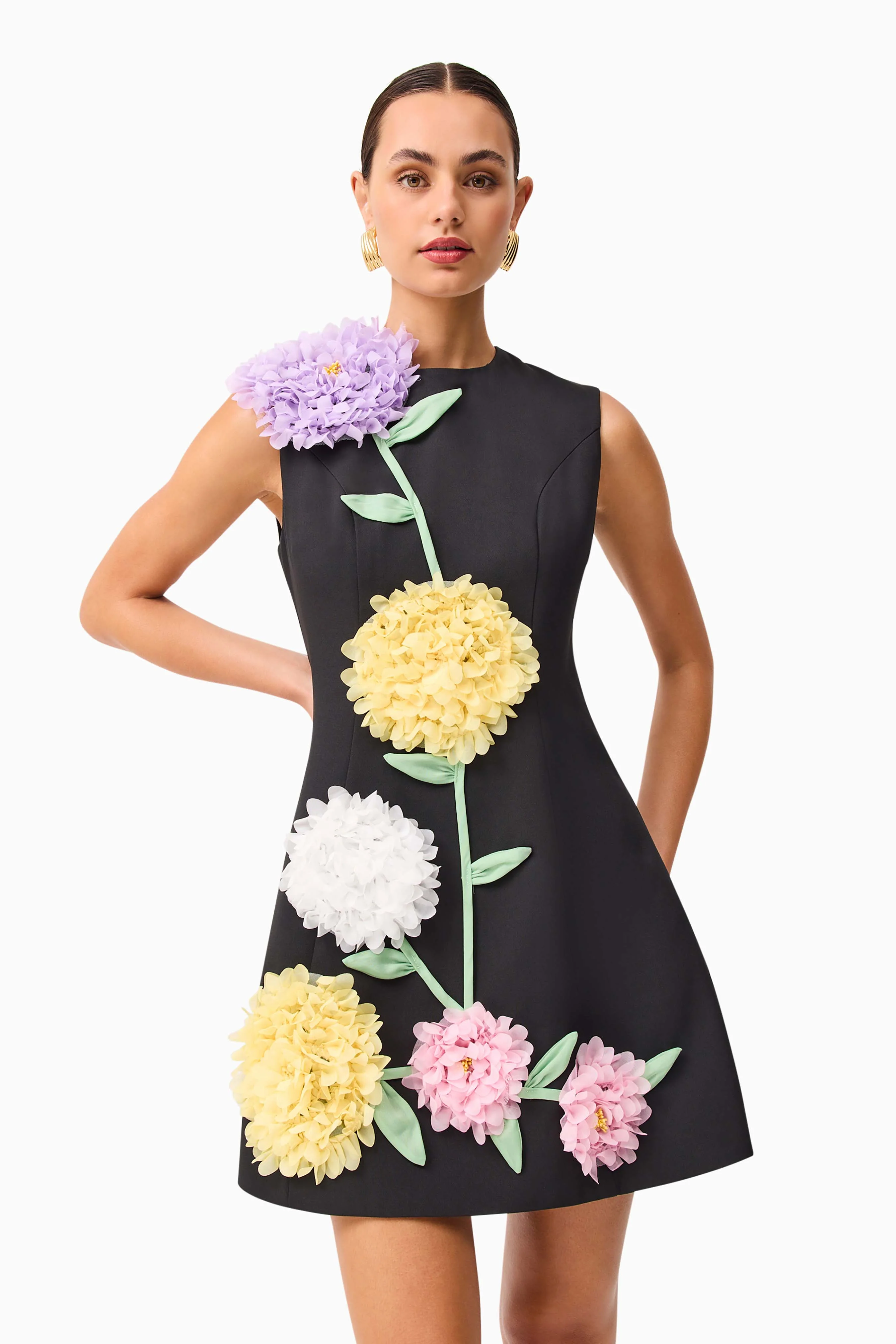 Buttercup Embroidered Mini Dress in Black