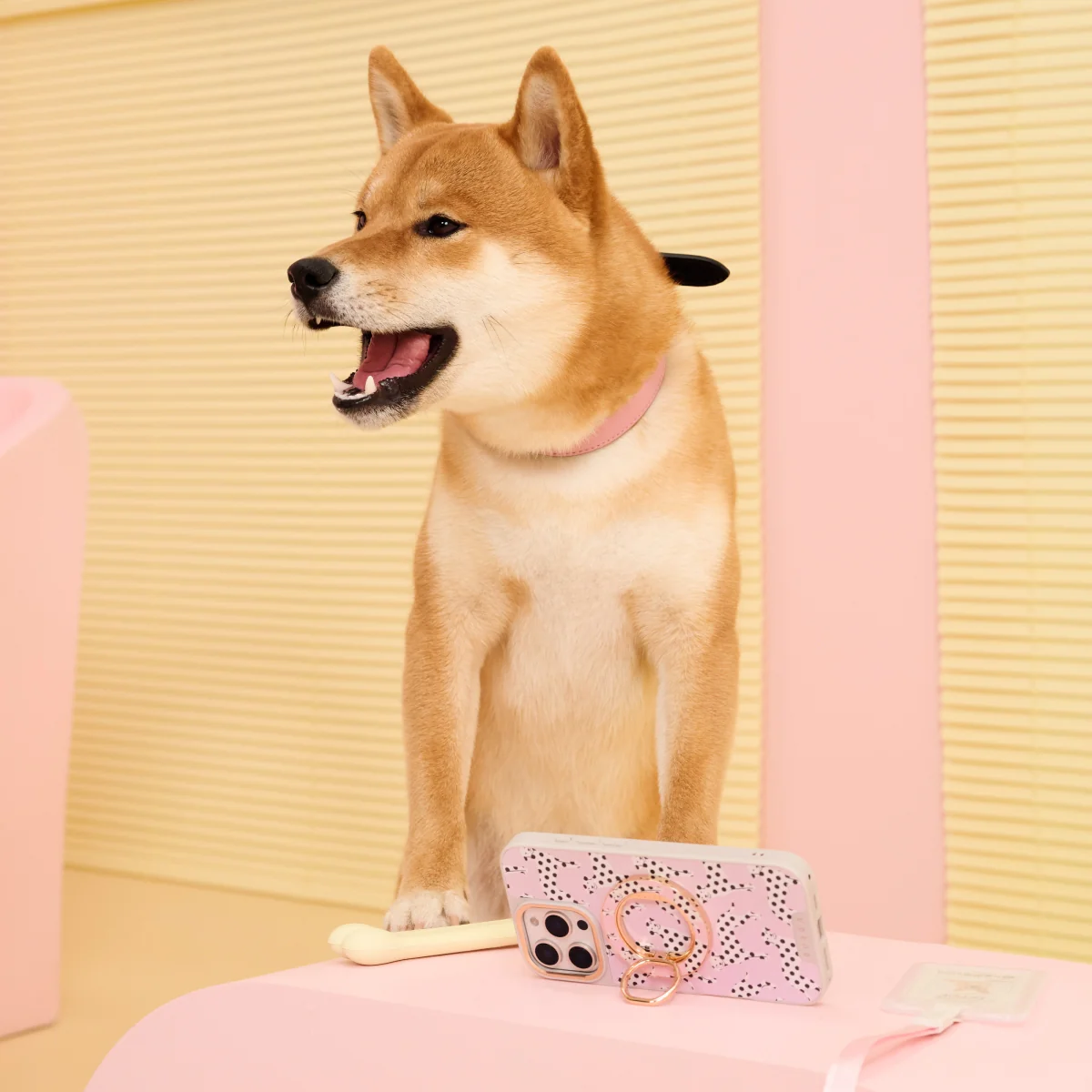 Buddy - Samsung Galaxy S25 Plus ケース