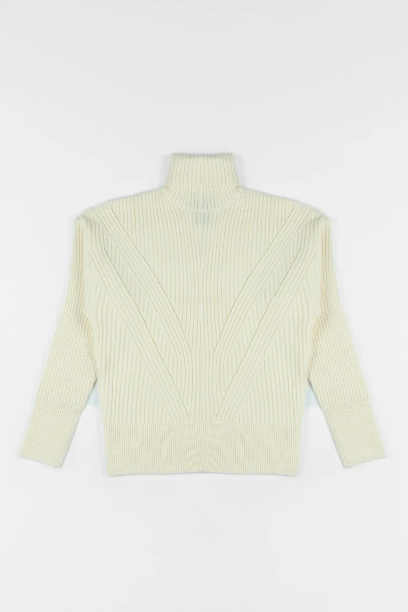 Chunky Ribbed Turtleneck Sweater