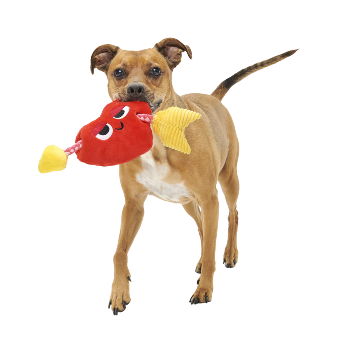Heart Throbert Plush Tug Dog Toy