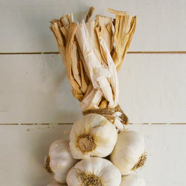 Garlic Braid
