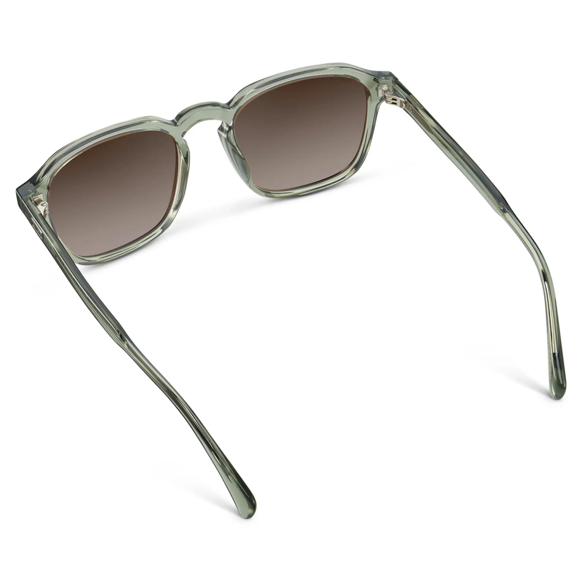 Francis | Polarized