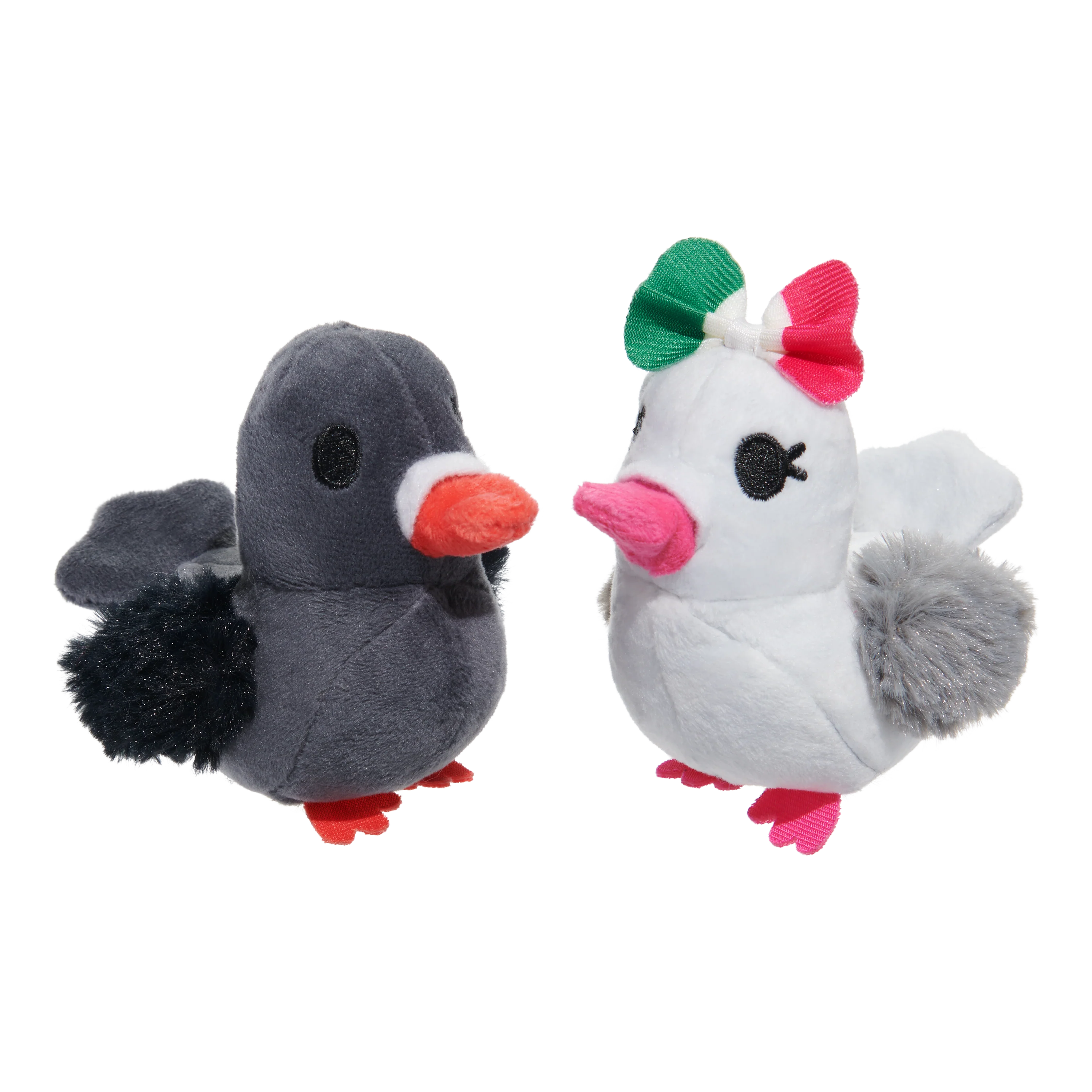 Coo Amore