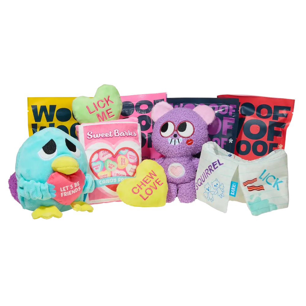 Bark 6 Month Subscription - Double Deluxe First Box
