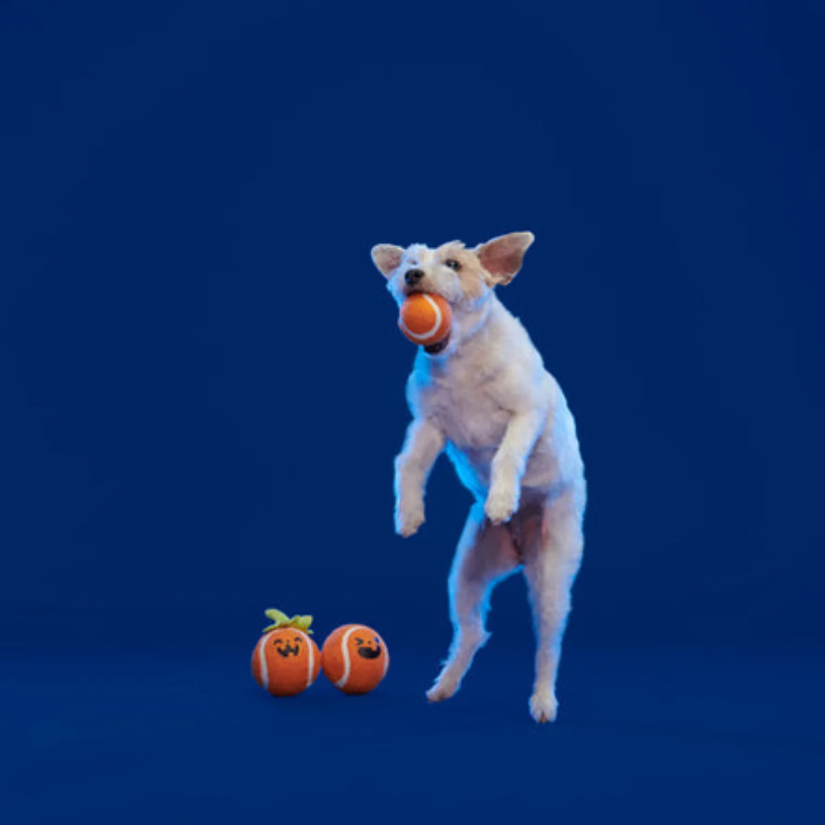Chuckin' Punkins Plush Multi-Part Fetch Dog Toy