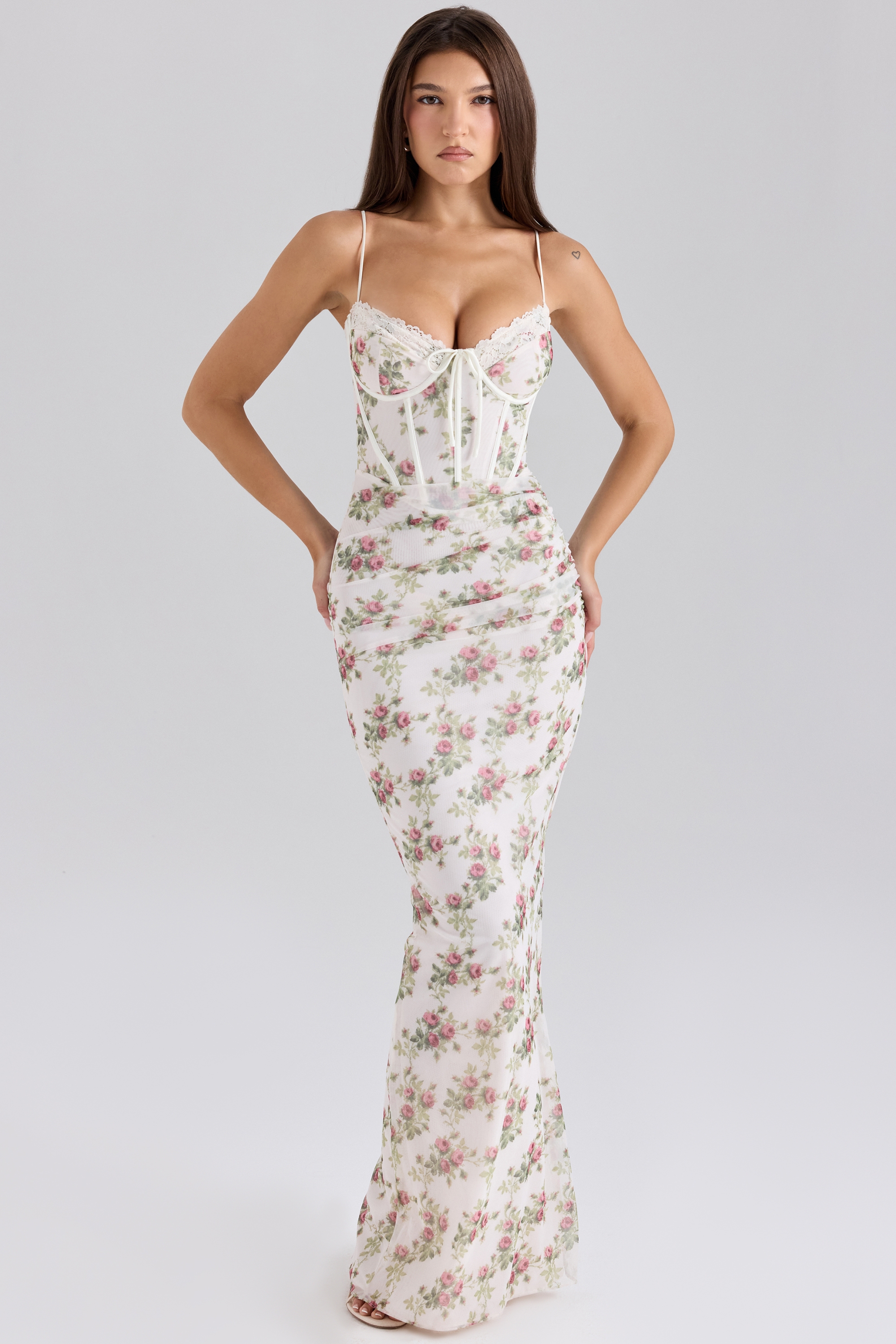 Cream Rose Print Mesh Maxi Dress
