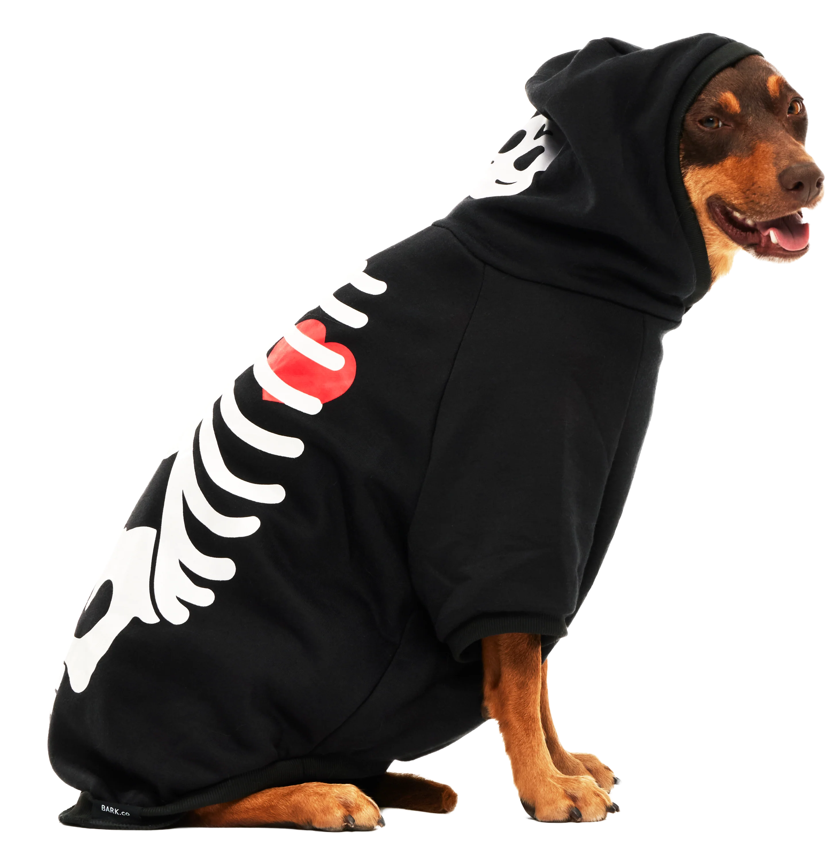 Skeleton Hoodie