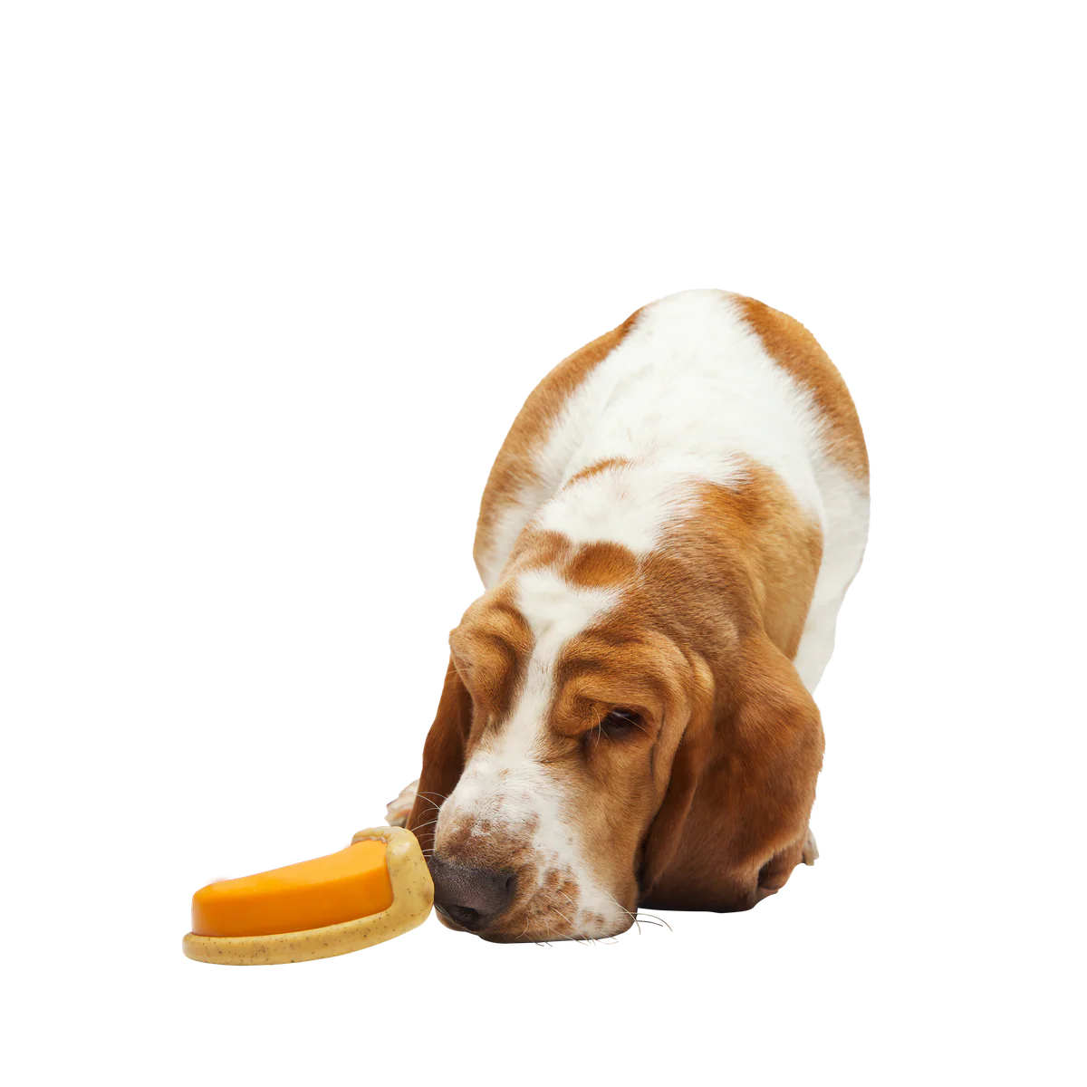 Powered Up Pie Durable Super Chewer Gnaw Dog Toy