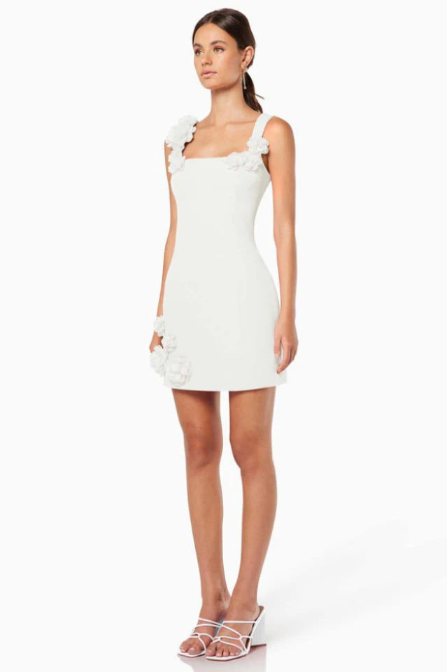 Trompe Mini Dress