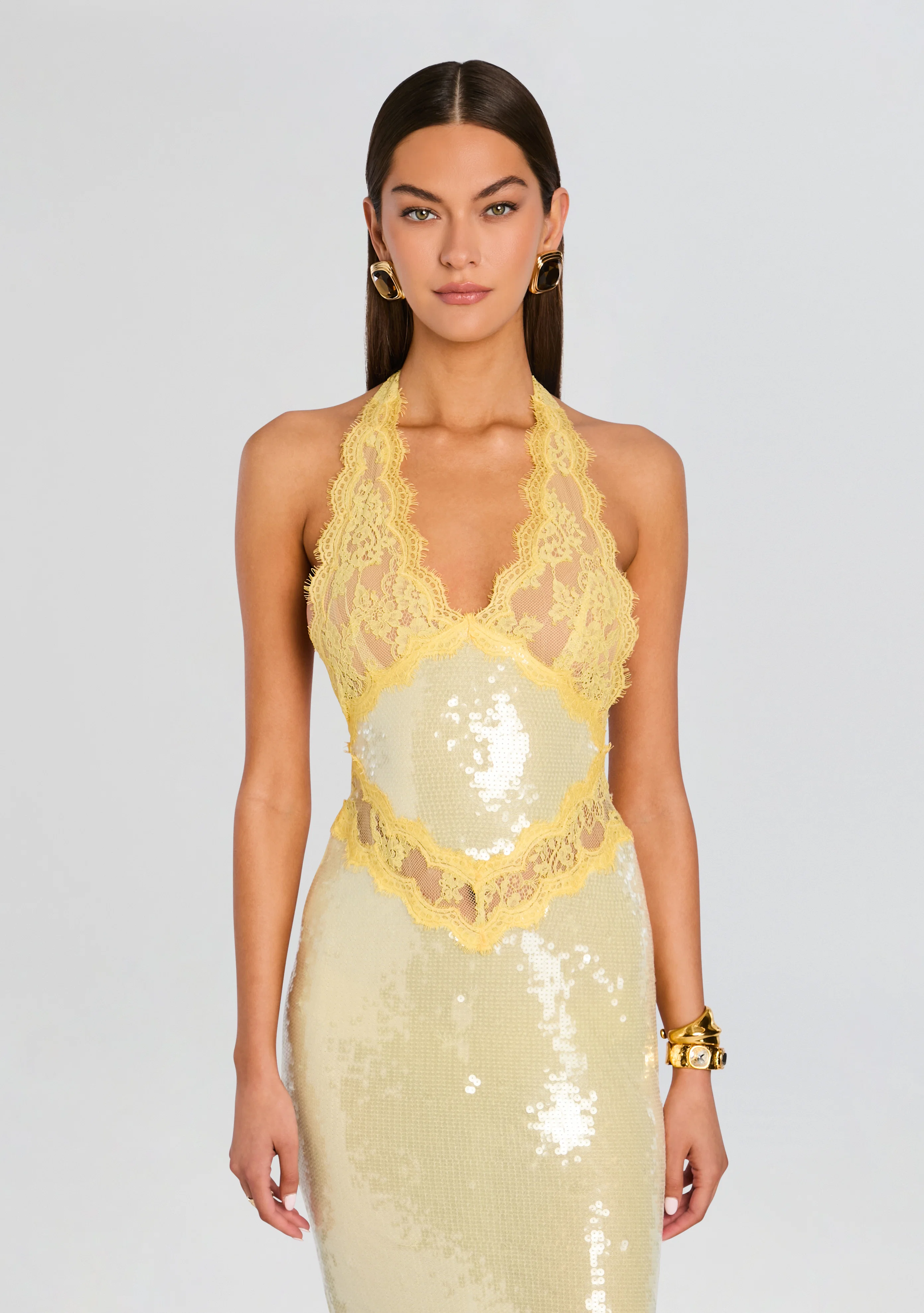 Vicky Sequin Lace Dress