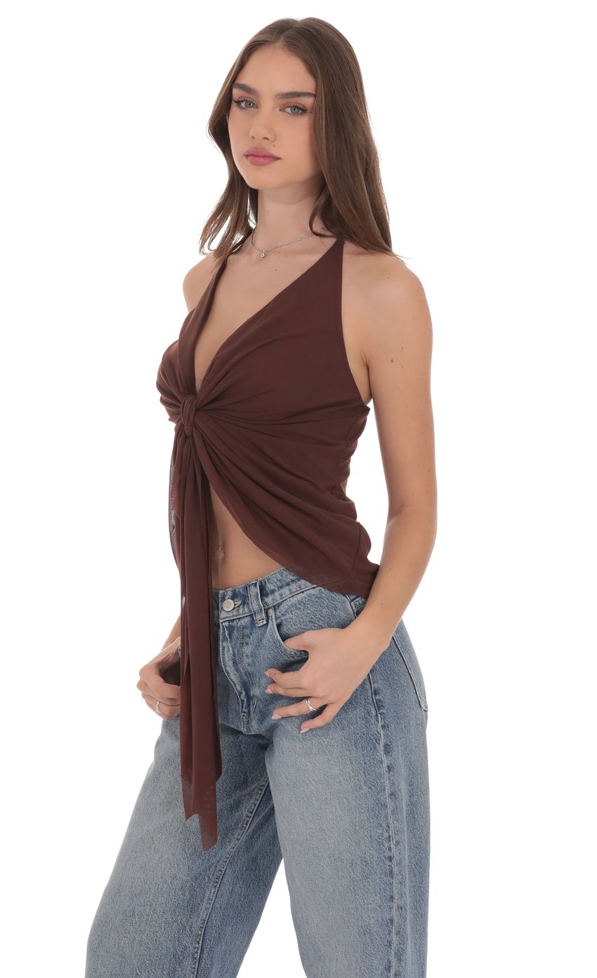 Mesh Plunge Two-Piece Tie Top in Brown