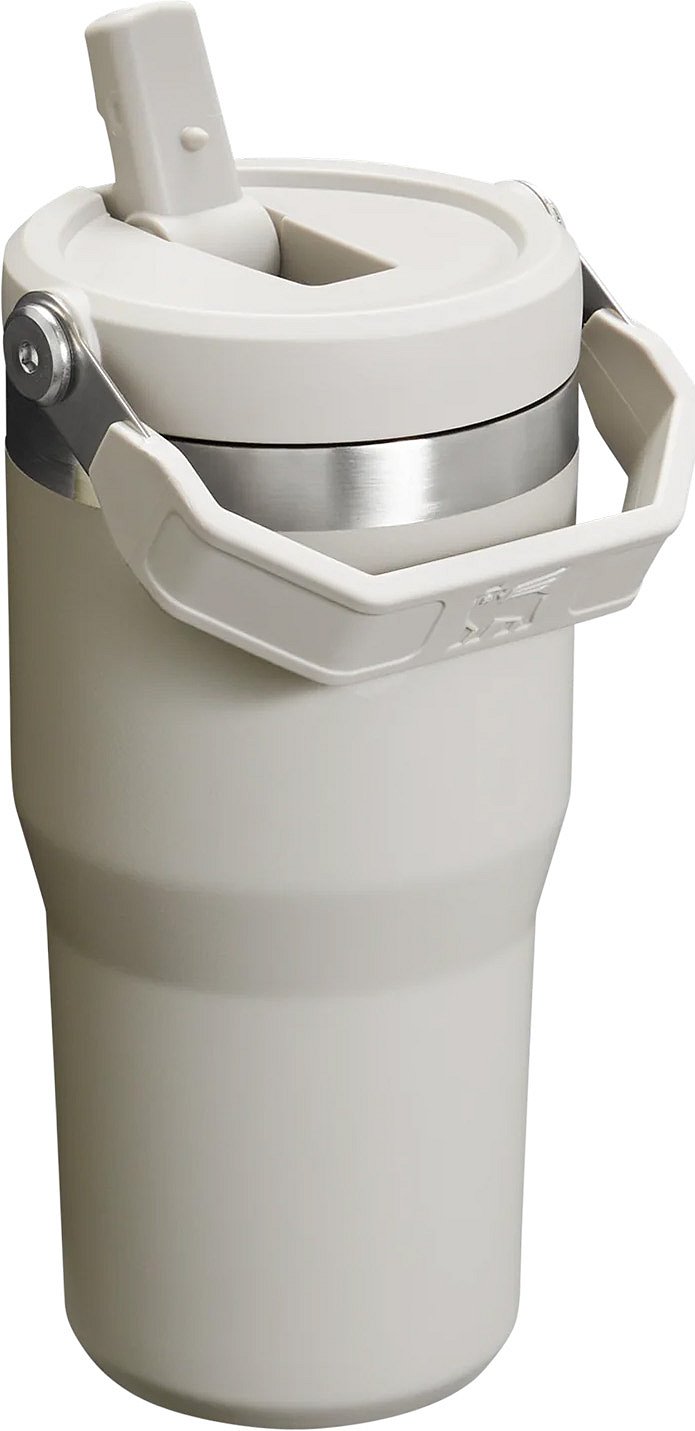 Stanley 20 oz. IceFlow 2.0 Flip Straw Tumbler - Ash