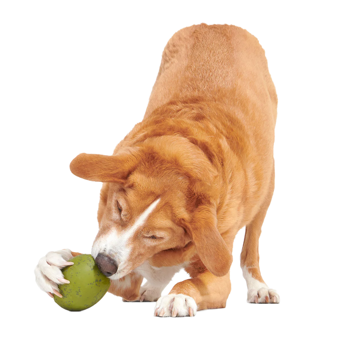 Stuffed Olive Super Chewer Durable Enrichment Dog Toy