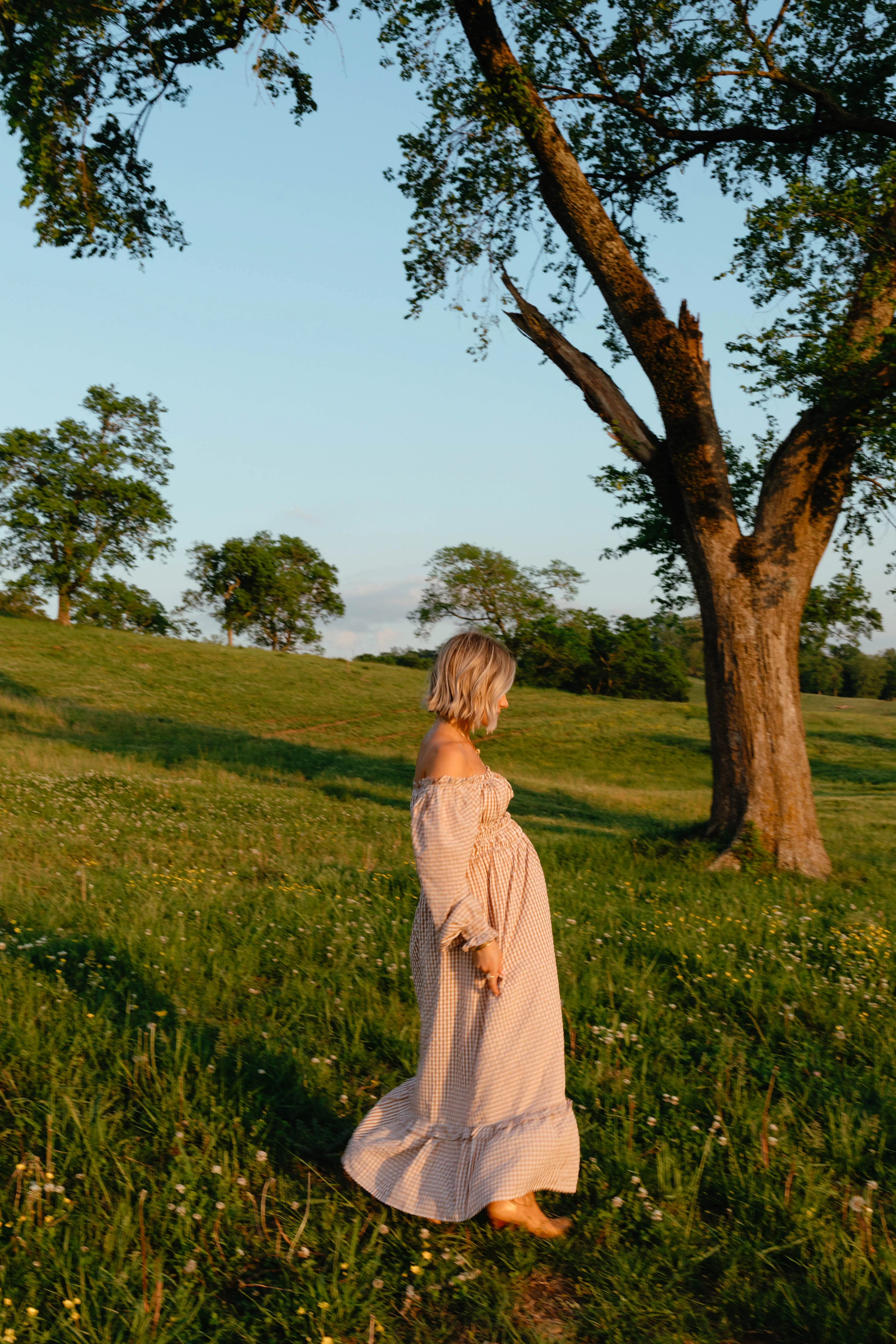 Torrie Maxi Dress - Brown Check